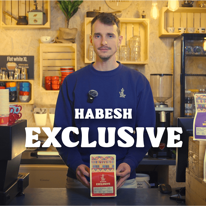 Habesh - recnik template 01-min
